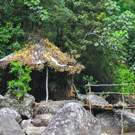 Jungle Tree House Rangala Bed & Breakfast Kandy Dış mekan fotoğraf
