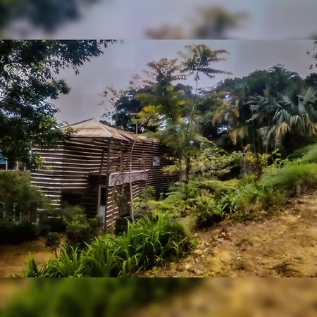 Jungle Tree House Rangala Bed & Breakfast Kandy Dış mekan fotoğraf