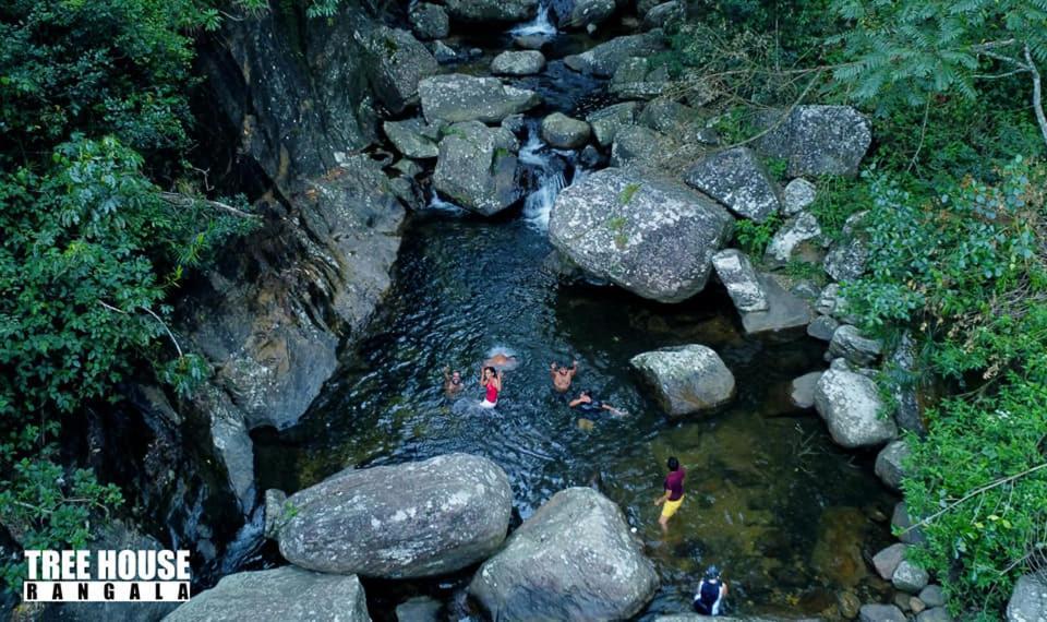 Jungle Tree House Rangala Bed & Breakfast Kandy Dış mekan fotoğraf