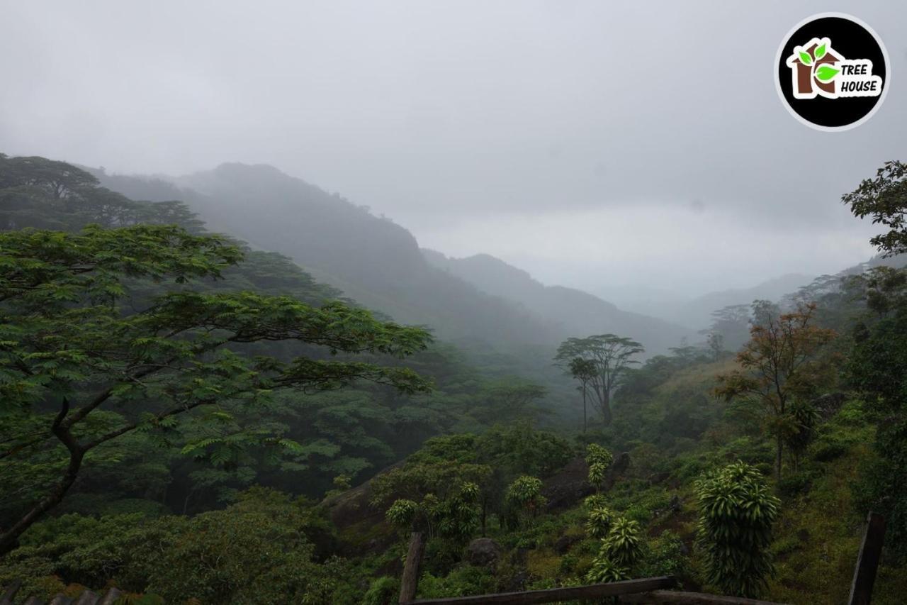 Jungle Tree House Rangala Bed & Breakfast Kandy Dış mekan fotoğraf