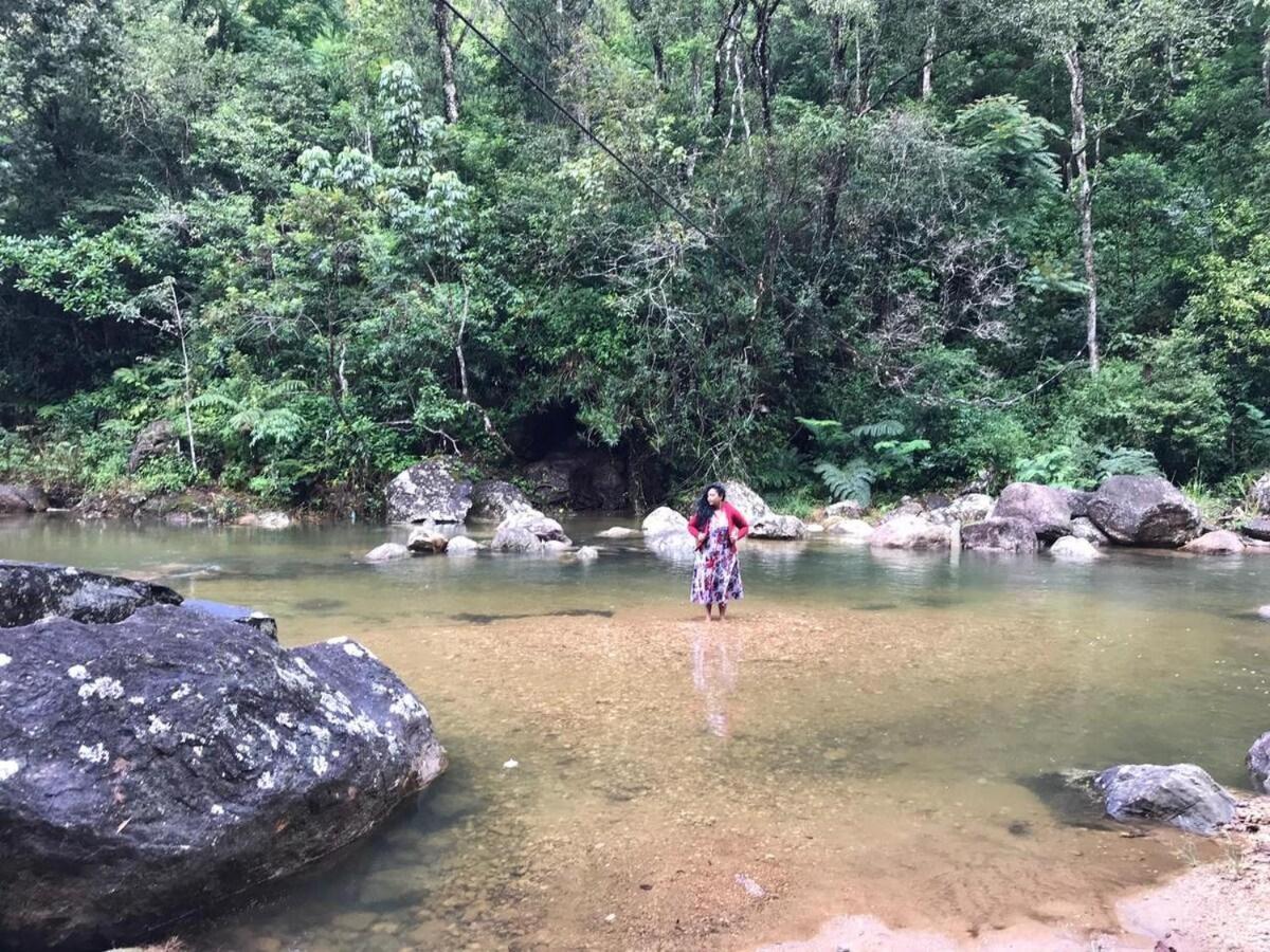 Jungle Tree House Rangala Bed & Breakfast Kandy Dış mekan fotoğraf