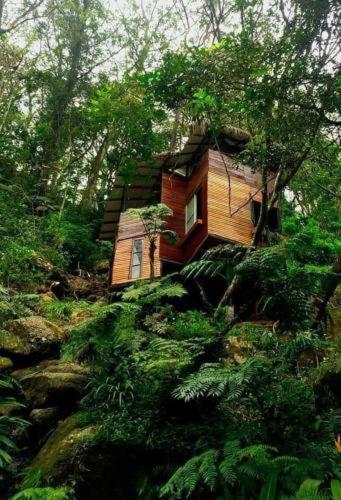 Jungle Tree House Rangala Bed & Breakfast Kandy Dış mekan fotoğraf