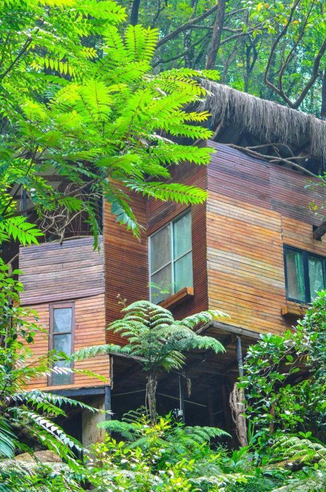 Jungle Tree House Rangala Bed & Breakfast Kandy Dış mekan fotoğraf