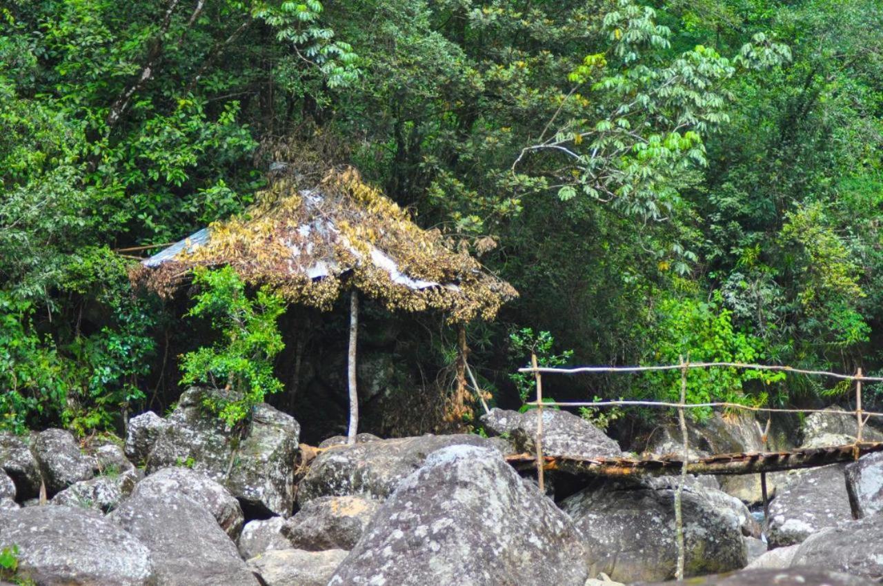 Jungle Tree House Rangala Bed & Breakfast Kandy Dış mekan fotoğraf